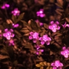 Kép 4/5 - Napelemes Karácsonyi Rózsaszín Cseresznyevirág Fényfüzér - 50 LED - 6,9 m