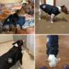 Kép 3/7 - CiliCili Bélelt téli kabát kutyáknak hámmal - Fekete - S